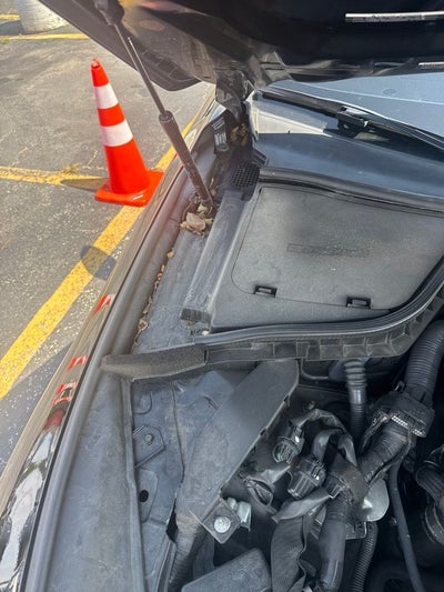 2021 INFINITI Q50 3.0t LUXE