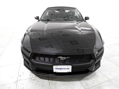 2025 Ford Mustang EcoBoost