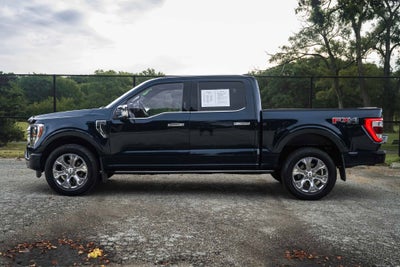 2022 Ford F-150 Platinum