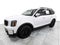 2023 Kia Telluride SX-Prestige
