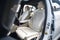 2023 BMW 5 Series 530i xDrive